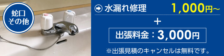 蛇口水漏れ修理1,000円～